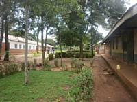 Buswale Old and New Classroom blocks